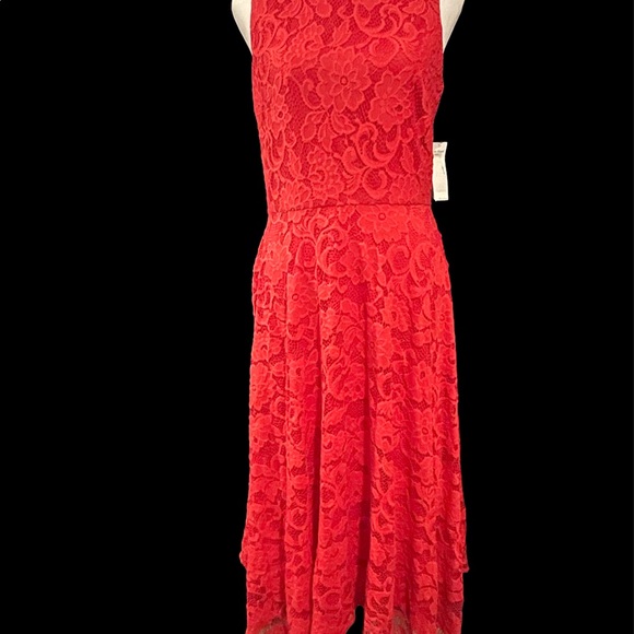 Jessica Howard
Sleeveless Lace Asymmetrical Hem Dress - Picture 3 of 5